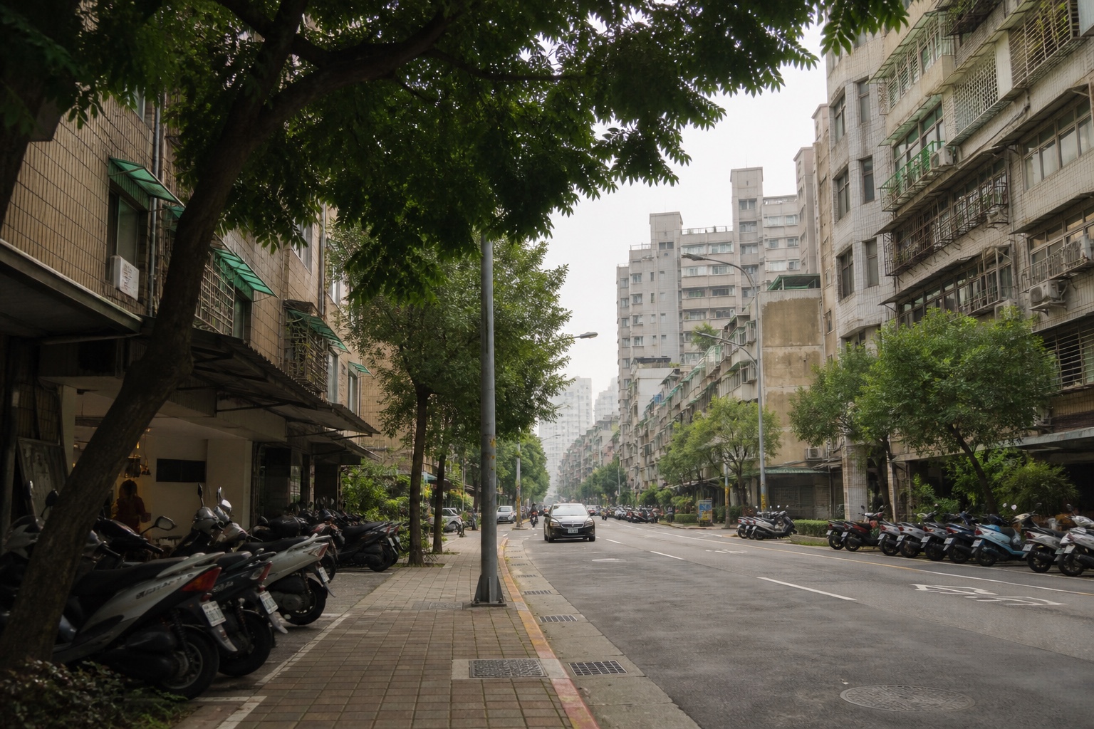 江子翠